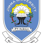 Jimma university